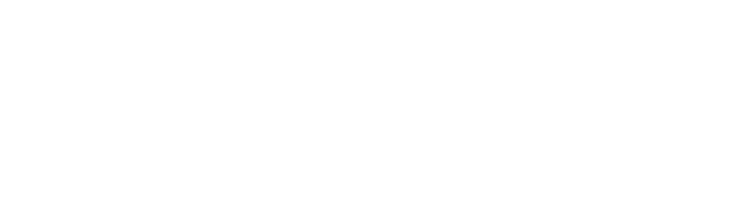 Professional Plating